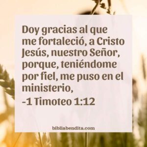 Explicaci N Timoteo Doy Gracias Al Que Me Fortaleci A Cristo