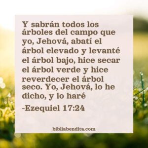 Explicación Ezequiel 17 24 Y sabrán todos los árboles del campoque yo