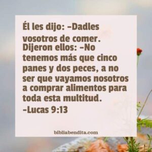 Explicación Lucas 9 13 Él les dijo Dadles vosotros de comer