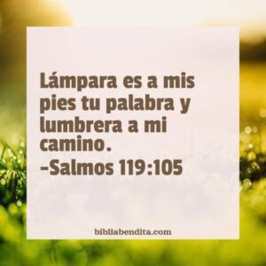 Explicación Salmos 119 105 Lámpara es a mis pies tu palabra y