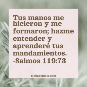 Explicaci N Salmos Tus Manos Me Hicieron Y Me Formaron Hazme