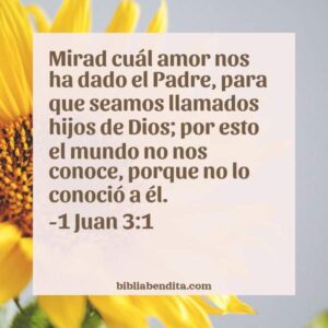 Explicación 1 Juan 3:1. 'Mirad cuál amor nos ha dado el Padre, para que