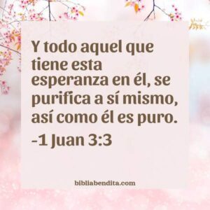Explicación 1 Juan 3:3. 'Y todo aquel que tiene esta esperanza en él