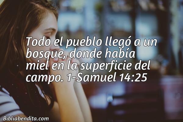 ¿Qué significa el Versículo 1 Samuel 14:25?, su importancia y los mensajes que podemos aprender de este verso de la biblia. Explicación de Verso 1 Samuel 14:25 en la biblia
