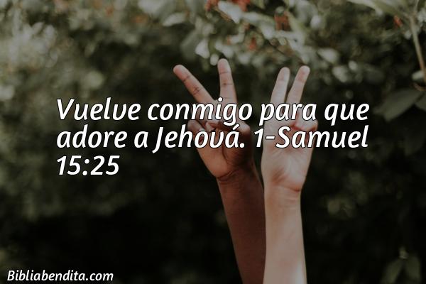 ¿Qué significa el Versículo 1 Samuel 15:25?, la importancia y  que podemos conocer con este verso de la biblia. Explicación de Verso 1 Samuel 15:25 en la biblia
