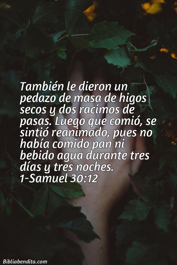 ¿Qué significa el Versículo 1 Samuel 30:12?, la importancia y las lecciones que podemos conocer con este verso de la biblia. Explicación de Verso 1 Samuel 30:12 en la biblia
