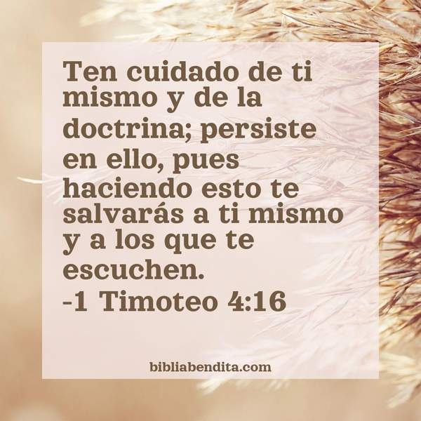 Explicaci n 1 Timoteo 4 16 Ten Cuidado De Ti Mismo Y De La Doctrina Explicaci n 1 Timoteo 4 16 Ten Cuidado De Ti Mismo Y De La Doctrina