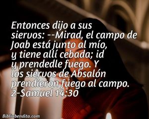 ¿Qué significa el Versículo 2 Samuel 14:30?, la importancia y  que podemos aprender con este versículo de la biblia. Explicación de Verso 2 Samuel 14:30 en la biblia