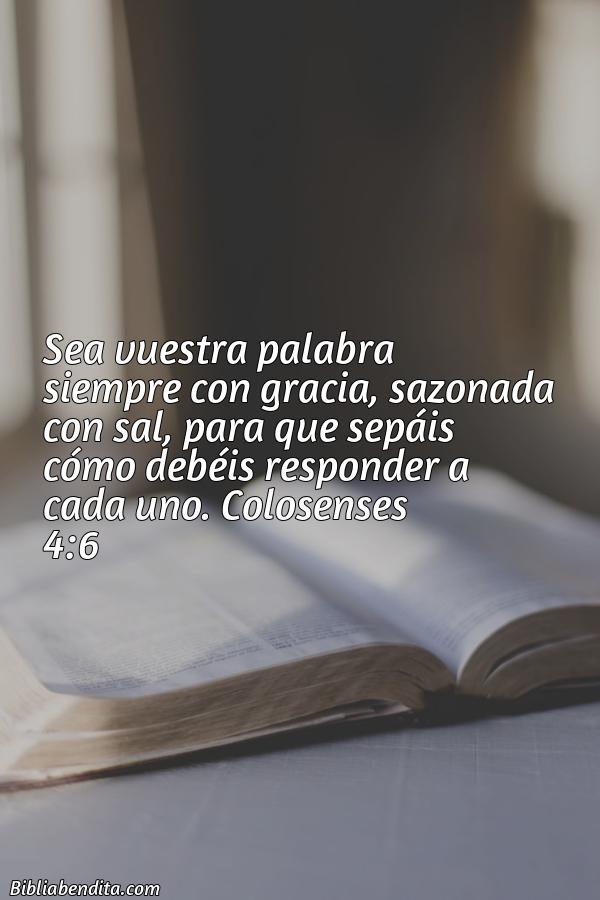 ¿Qué significa el Versículo Colosenses 4:6?, la importancia y  que podemos aprender en este versículo de la biblia. Explicación de Verso Colosenses 4:6 en la biblia