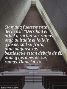¿Qué significa el Versículo Daniel 4:14?, la importancia y los mensajes que podemos aprender de este versículo de la biblia. Explicación de Verso Daniel 4:14 en la biblia