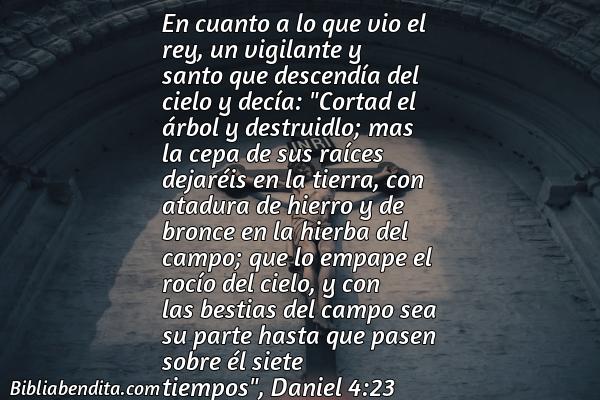 ¿Qué significa el Versículo Daniel 4:23?, la importancia y las lecciones que podemos aprender en este versículo de la biblia. Explicación de Verso Daniel 4:23 en la biblia