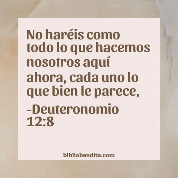 ¿Qué significa el Versículo Deuteronomio 12:8?, la importancia y las reflexiones que podemos conocer con este versículo de la biblia. Explicación de Verso Deuteronomio 12:8 en la biblia