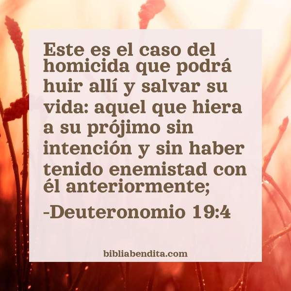 ¿Qué significa el Versículo Deuteronomio 19:4?, su importancia y  que podemos conocer en este versículo de la biblia. Explicación de Verso Deuteronomio 19:4 en la biblia