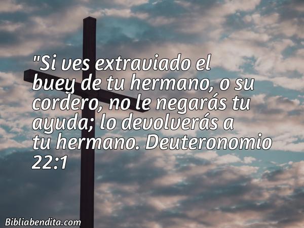 ¿Qué significa el Versículo Deuteronomio 22:1?, la importancia y las enseñanzas que podemos conocer con este versículo de la biblia. Explicación de Verso Deuteronomio 22:1 en la biblia