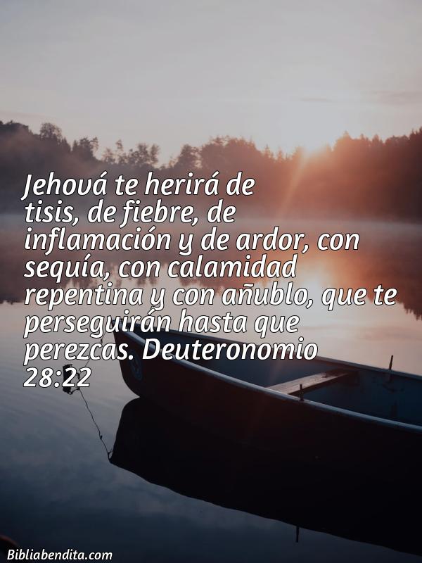 ¿Qué significa el Versículo Deuteronomio 28:22?, su importancia y los mensajes que podemos conocer de este versículo de la biblia. Explicación de Verso Deuteronomio 28:22 en la biblia