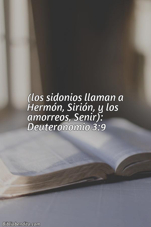 ¿Qué significa el Versículo Deuteronomio 3:9?, la importancia y los mensajes que podemos aprender en este versículo de la biblia. Explicación de Verso Deuteronomio 3:9 en la biblia