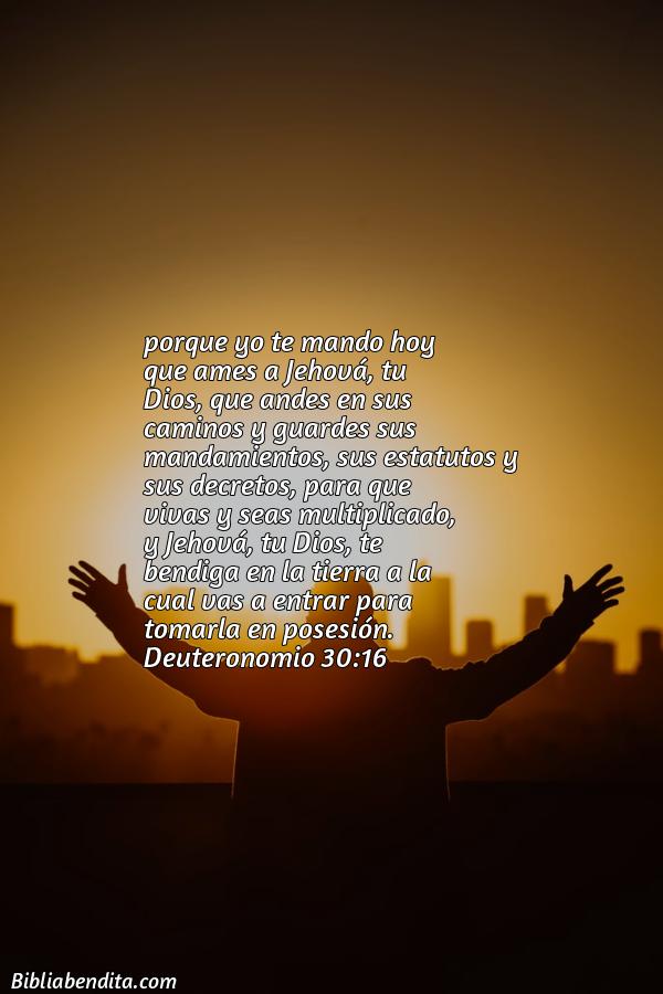 ¿Qué significa el Versículo Deuteronomio 30:16?, la importancia y  que podemos aprender de este verso de la biblia. Explicación de Verso Deuteronomio 30:16 en la biblia