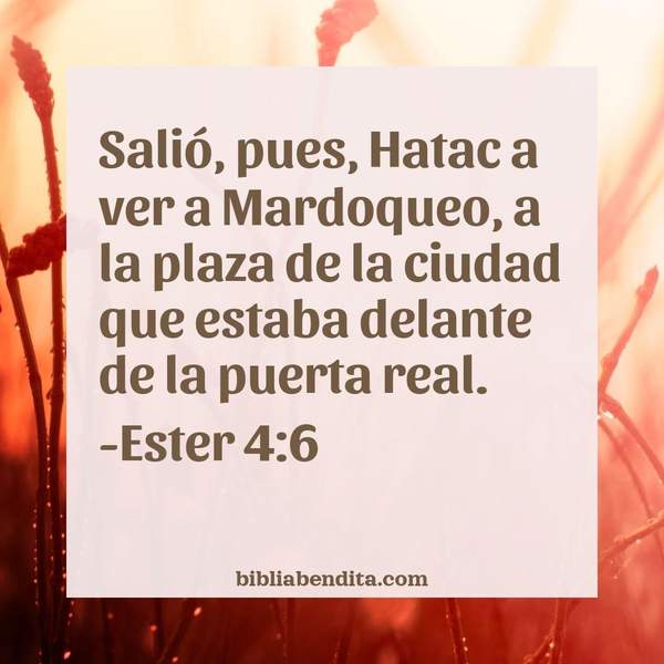 ¿Qué significa el Versículo Ester 4:6?, la importancia y las enseñanzas que podemos conocer con este verso de la biblia. Explicación de Verso Ester 4:6 en la biblia