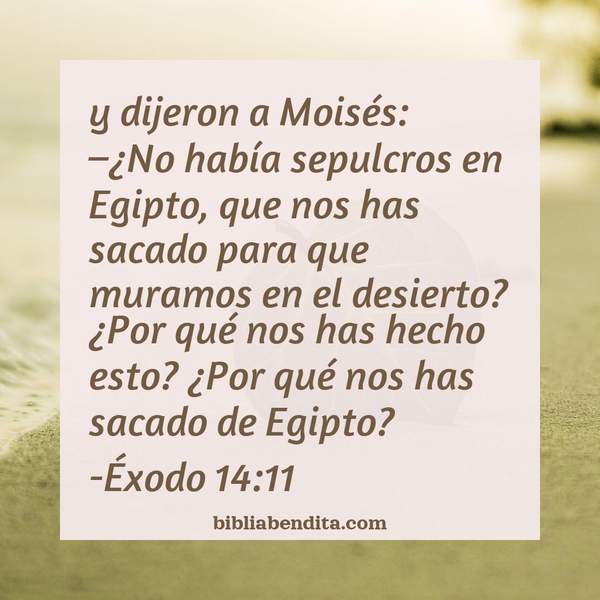 ¿Qué significa el Versículo Éxodo 14:11?, su importancia y las lecciones que podemos conocer en este verso de la biblia. Explicación de Verso Éxodo 14:11 en la biblia