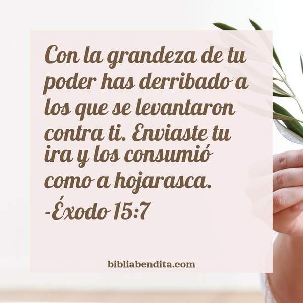 ¿Qué significa el Versículo Éxodo 15:7?, su importancia y  que podemos conocer con este versículo de la biblia. Explicación de Verso Éxodo 15:7 en la biblia