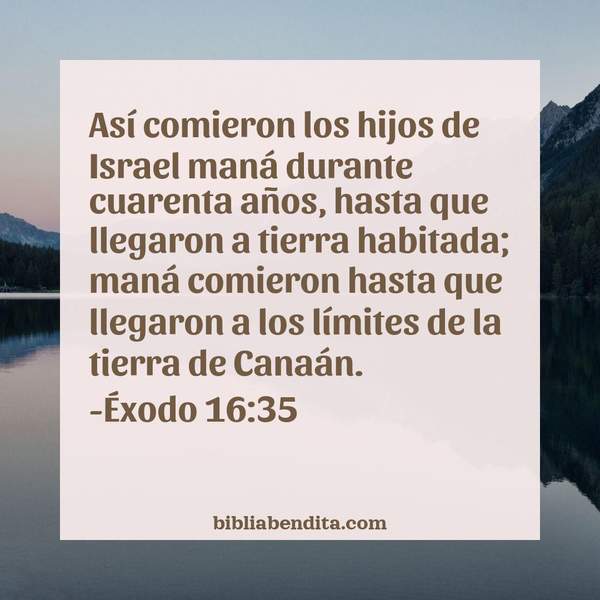 ¿Qué significa el Versículo Éxodo 16:35?, la importancia y las lecciones que podemos conocer en este versículo de la biblia. Explicación de Verso Éxodo 16:35 en la biblia