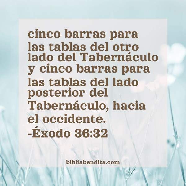 ¿Qué significa el Versículo Éxodo 36:32?, su importancia y los mensajes que podemos aprender de este verso de la biblia. Explicación de Verso Éxodo 36:32 en la biblia