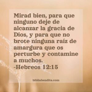 Explicación Hebreos 12:15. 'Mirad Bien, Para Que Ninguno Deje De ...