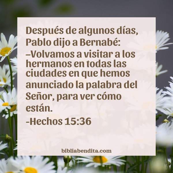 ¿Qué significa el Versículo Hechos 15:36?, su importancia y las enseñanzas que podemos conocer con este versículo de la biblia. Explicación de Verso Hechos 15:36 en la biblia