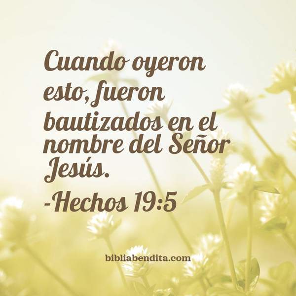 ¿Qué significa el Versículo Hechos 19:5?, la importancia y las enseñanzas que podemos aprender en este verso de la biblia. Explicación de Verso Hechos 19:5 en la biblia