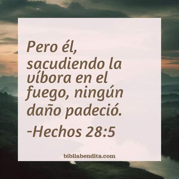 ¿Qué significa el Versículo Hechos 28:5?, la importancia y los mensajes que podemos aprender con este versículo de la biblia. Explicación de Verso Hechos 28:5 en la biblia