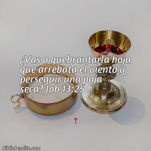 ¿Qué significa el Versículo Job 13:25?, su importancia y las reflexiones que podemos conocer con este versículo de la biblia. Explicación de Verso Job 13:25 en la biblia