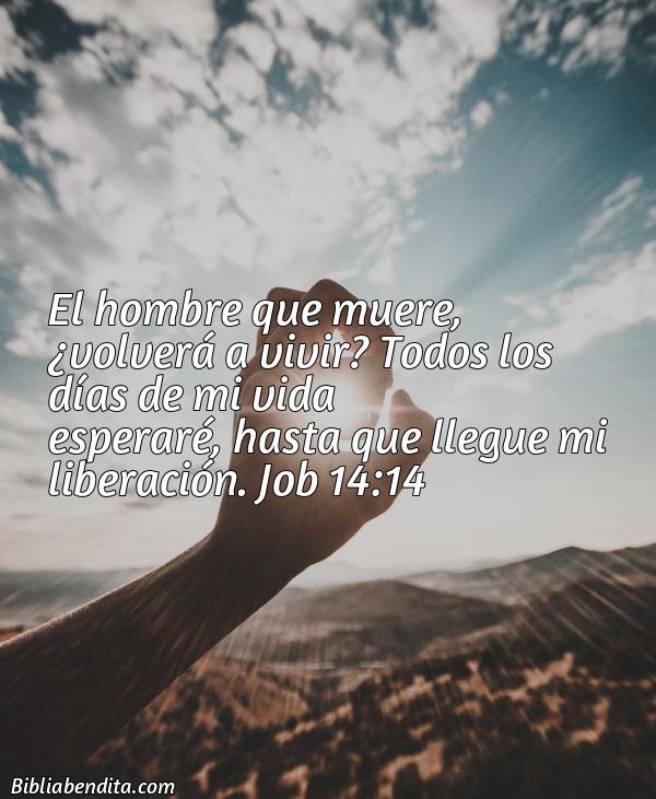 ¿Qué significa el Versículo Job 14:14?, su importancia y  que podemos conocer en este verso de la biblia. Explicación de Verso Job 14:14 en la biblia