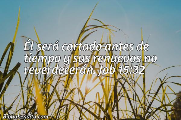 ¿Qué significa el Versículo Job 15:32?, la importancia y  que podemos conocer en este versículo de la biblia. Explicación de Verso Job 15:32 en la biblia
