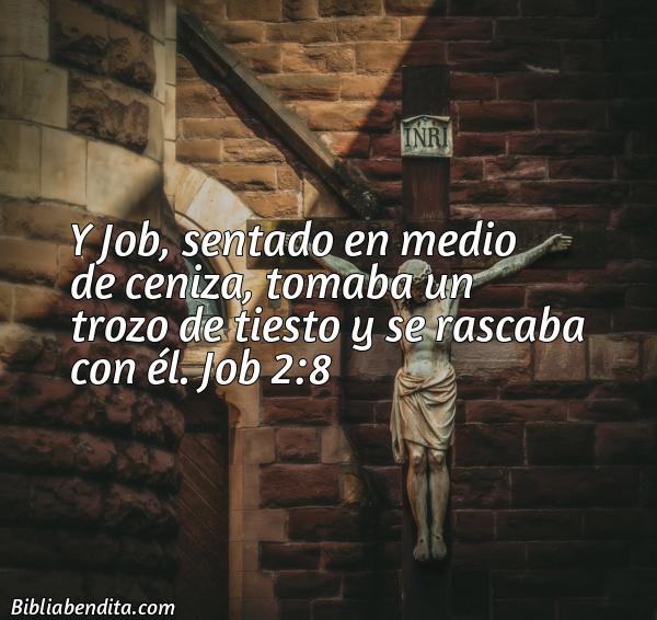 ¿Qué significa el Versículo Job 2:8?, su importancia y las reflexiones que podemos conocer en este verso de la biblia. Explicación de Verso Job 2:8 en la biblia