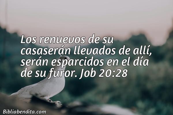 ¿Qué significa el Versículo Job 20:28?, su importancia y  que podemos aprender de este versículo de la biblia. Explicación de Verso Job 20:28 en la biblia