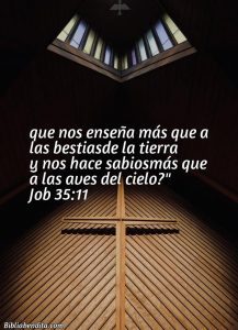 ¿Qué significa el Versículo Job 35:11?, la importancia y las enseñanzas que podemos conocer en este verso de la biblia. Explicación de Verso Job 35:11 en la biblia