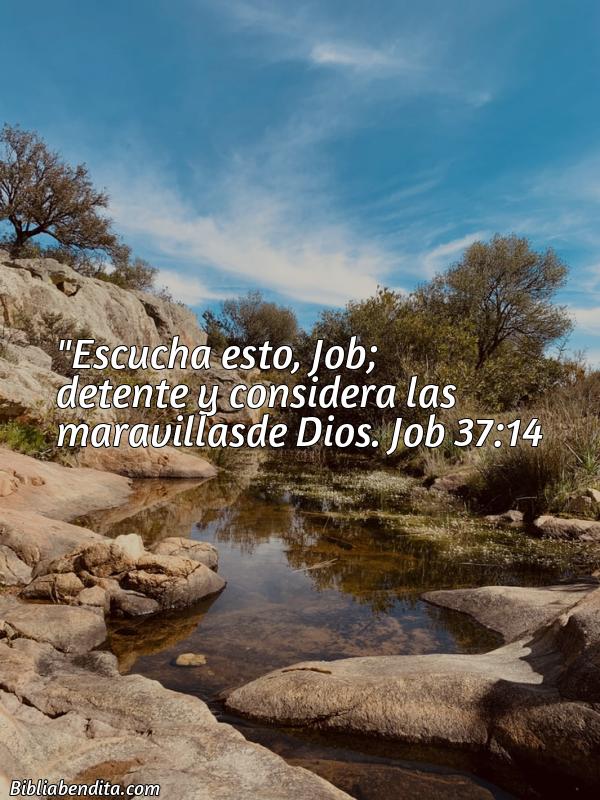 ¿Qué significa el Versículo Job 37:14?, su importancia y las lecciones que podemos aprender con este verso de la biblia. Explicación de Verso Job 37:14 en la biblia