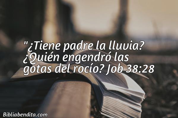¿Qué significa el Versículo Job 38:28?, su importancia y  que podemos aprender en este verso de la biblia. Explicación de Verso Job 38:28 en la biblia