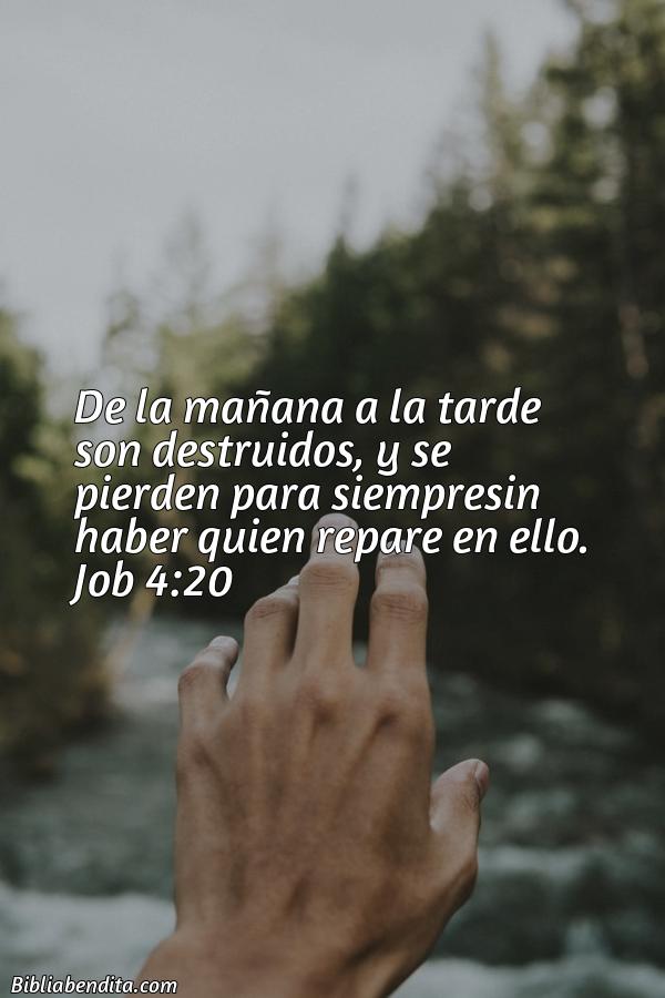 ¿Qué significa el Versículo Job 4:20?, su importancia y las reflexiones que podemos conocer con este verso de la biblia. Explicación de Verso Job 4:20 en la biblia