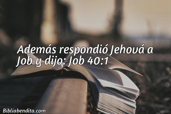 ¿Qué significa el Versículo Job 40:1?, la importancia y las enseñanzas que podemos conocer con este verso de la biblia. Explicación de Verso Job 40:1 en la biblia