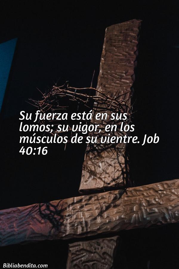 ¿Qué significa el Versículo Job 40:16?, su importancia y las reflexiones que podemos aprender de este verso de la biblia. Explicación de Verso Job 40:16 en la biblia