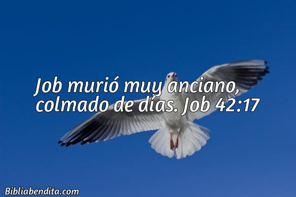 ¿Qué significa el Versículo Job 42:17?, su importancia y las reflexiones que podemos conocer en este versículo de la biblia. Explicación de Verso Job 42:17 en la biblia