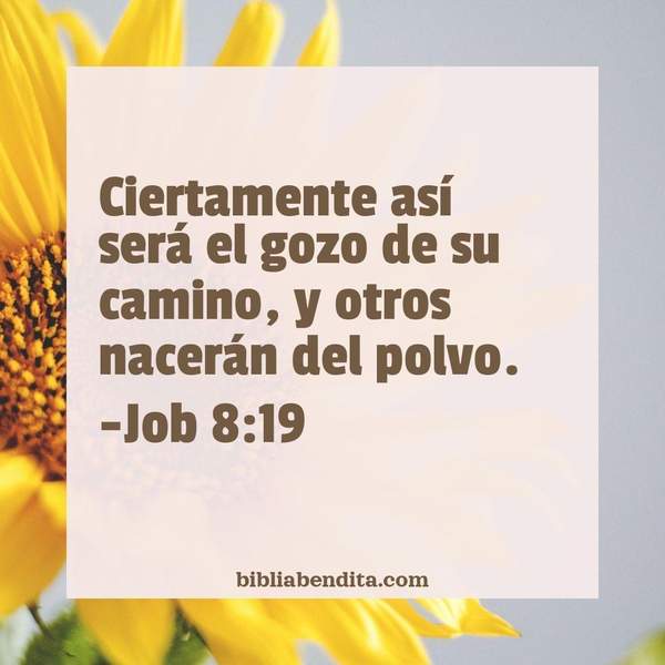 ¿Qué significa el Versículo Job 8:19?, su importancia y las reflexiones que podemos aprender con este versículo de la biblia. Explicación de Verso Job 8:19 en la biblia