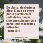 Explicación Juan 10:1. 'De Cierto, De Cierto Os Digo: El Que No Entra ...