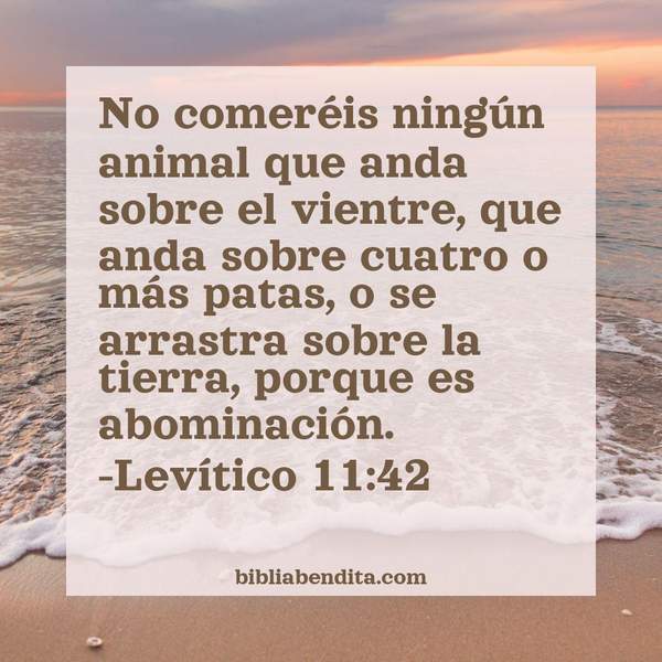 ¿Qué significa el Versículo Levítico 11:42?, su importancia y los mensajes que podemos aprender en este verso de la biblia. Explicación de Verso Levítico 11:42 en la biblia