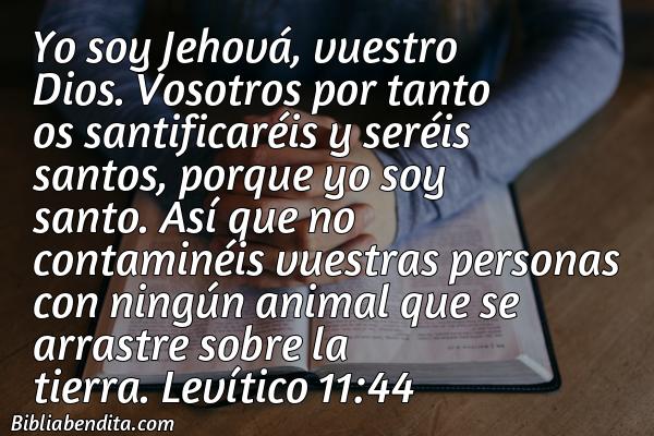 ¿Qué significa el Versículo Levítico 11:44?, su importancia y las lecciones que podemos aprender en este verso de la biblia. Explicación de Verso Levítico 11:44 en la biblia