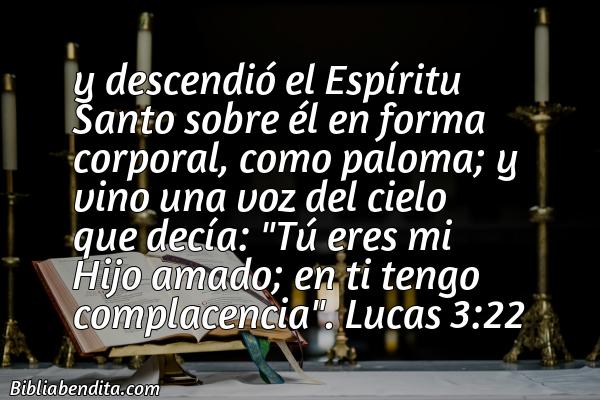¿Qué significa el Versículo Lucas 3:22?, su importancia y las reflexiones que podemos conocer de este versículo de la biblia. Explicación de Verso Lucas 3:22 en la biblia