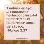 ¿Qué significa el Versículo Marcos 2:27?, la importancia y las reflexiones que podemos conocer en este versículo de la biblia. Explicación de Verso Marcos 2:27 en la biblia