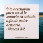 ¿Qué significa el Versículo Marcos 3:2?, la importancia y los mensajes que podemos aprender de este versículo de la biblia. Explicación de Verso Marcos 3:2 en la biblia