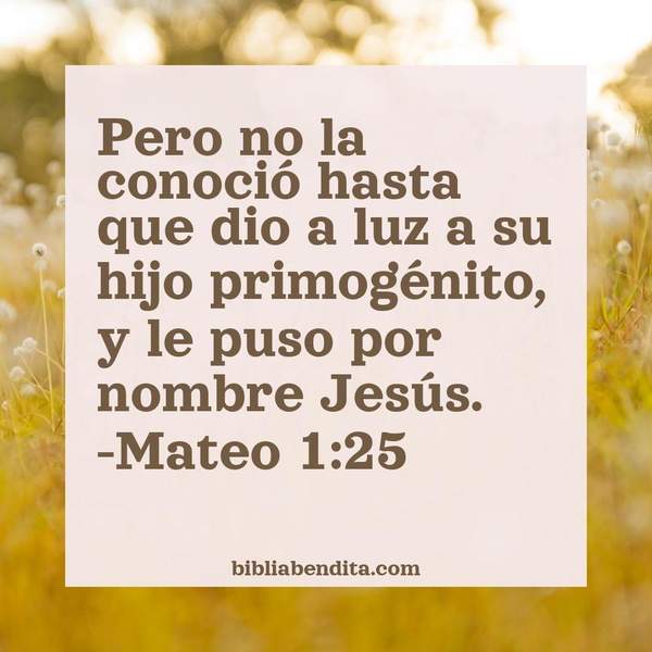 ¿Qué significa el Versículo Mateo 1:25?, la importancia y las reflexiones que podemos conocer en este versículo de la biblia. Explicación de Verso Mateo 1:25 en la biblia